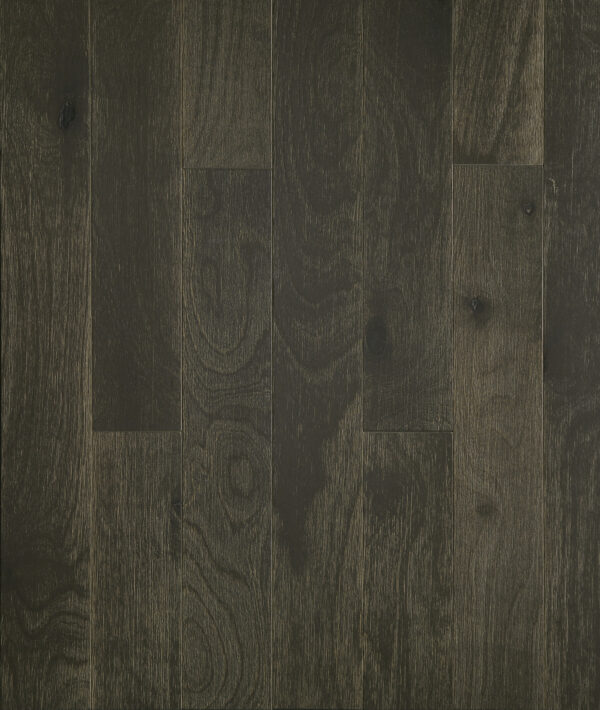 Visionaire: Dark Rustic Gray Birch Flooring by LIFECORE™