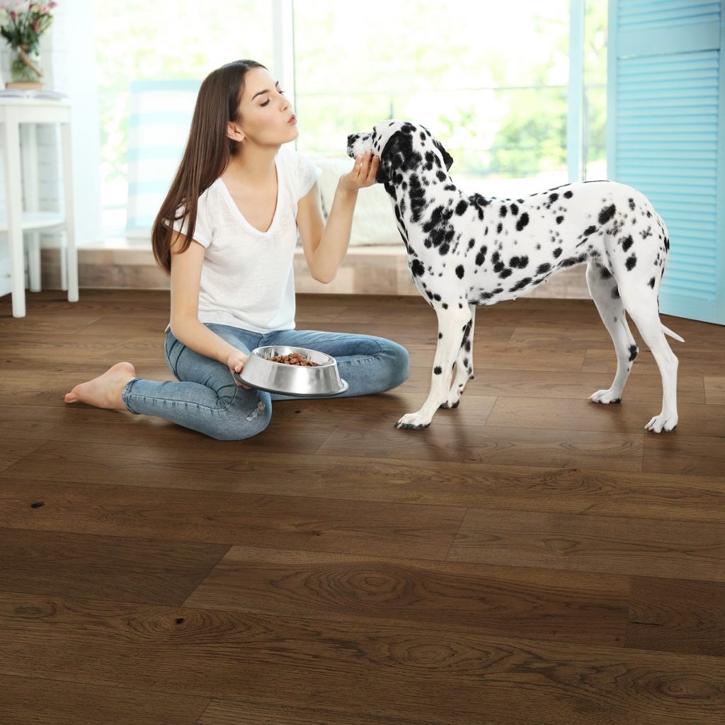 Pets And Your Hardwood Floors, Dog Resistant Hardwood Floors