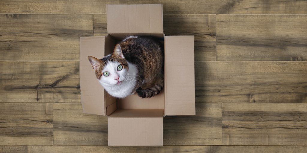 Most durable hardwood flooring cats
