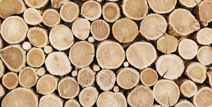 Sustainable Wood Flooring 5 Things You, Sustainable Hardwood Flooring Options